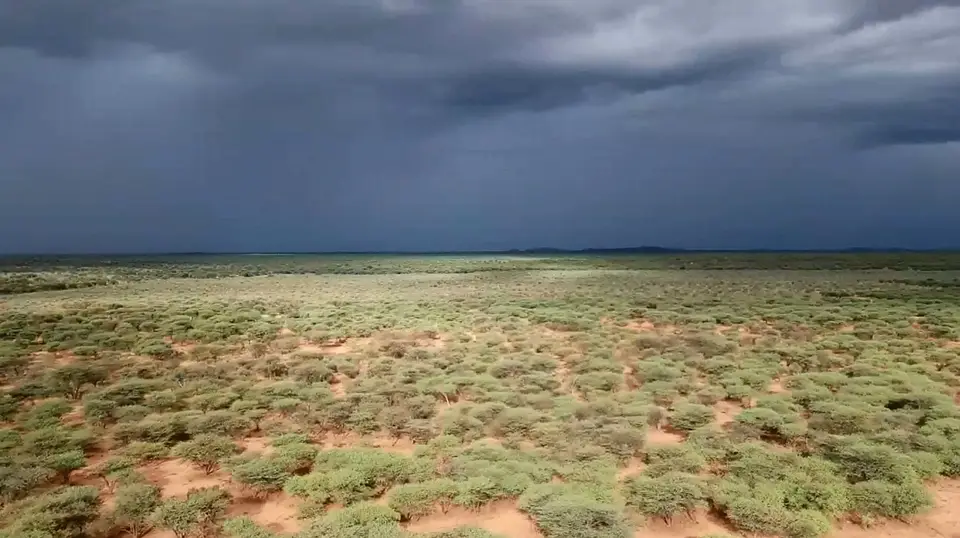 namibia-2018-02-10-11.jpg