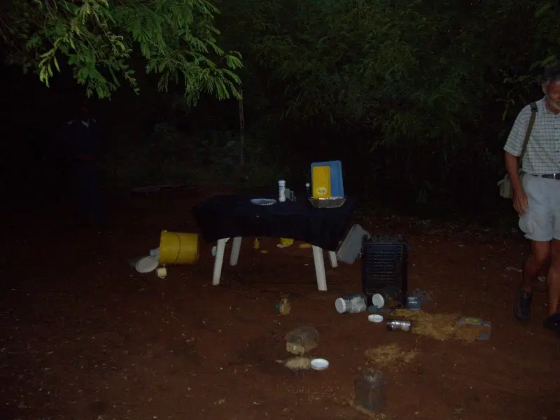CIMG5907-BaboonParty.JPG