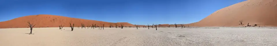 47.jpg