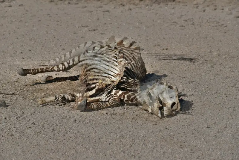 59.JPG