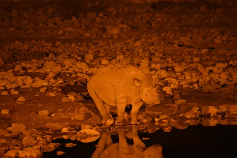 97.JPG