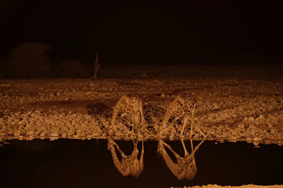 98.JPG