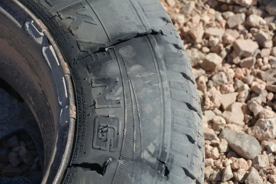 DSC_2573.JPG
