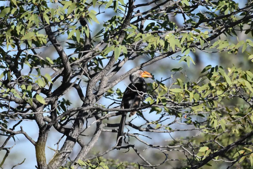 Namibia_2017_00001-2-3.jpg