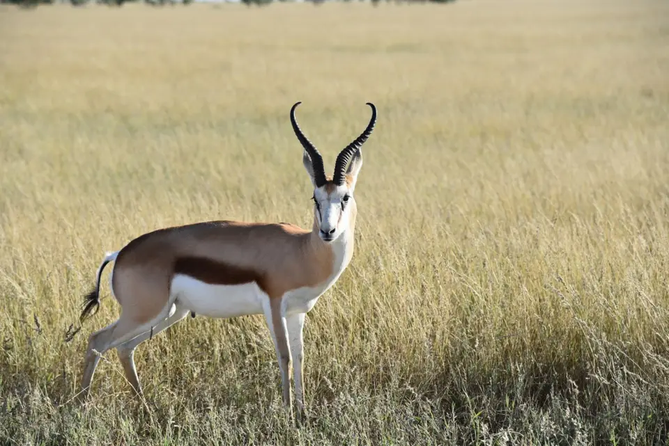Namibia_2017_00001-2.jpg