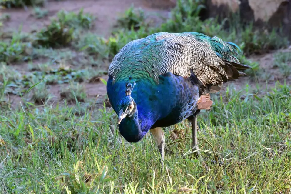 Namibia_2017_00001.jpg