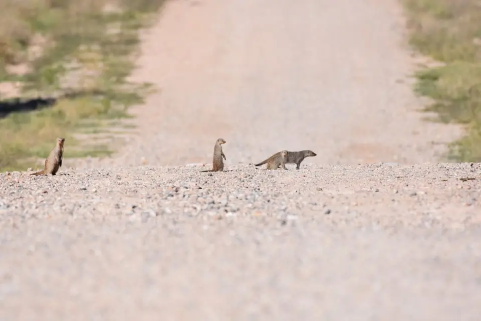 Namibia_2017_00002-2-3-4.jpg
