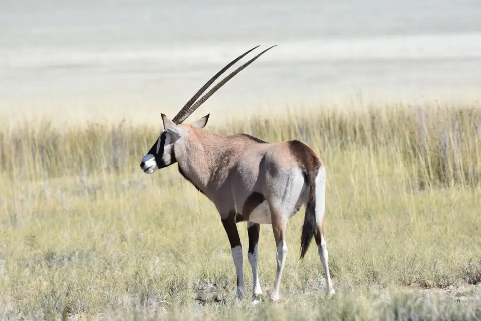 Namibia_2017_00004-2-3.jpg
