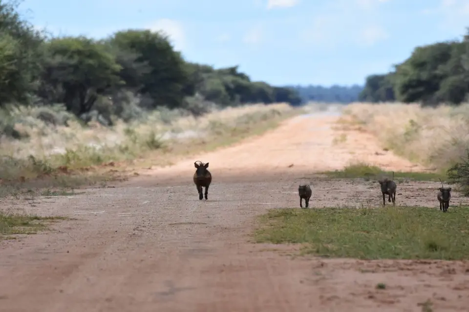 Namibia_2017_00005-2-3-4-5.jpg