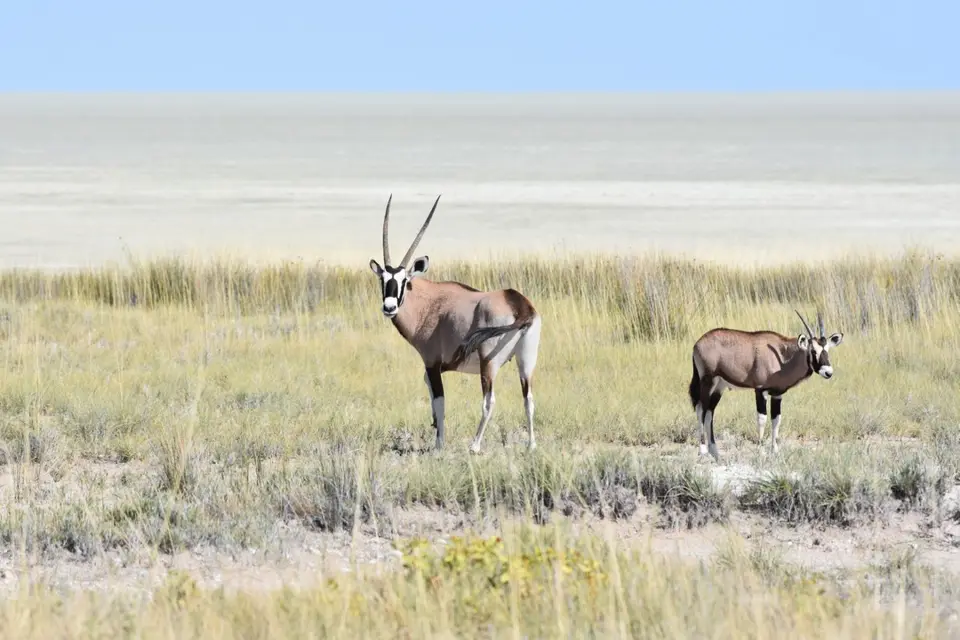 Namibia_2017_00005-2-3.jpg