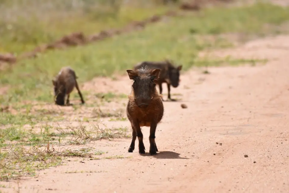Namibia_2017_00006-2-3-4-5.jpg