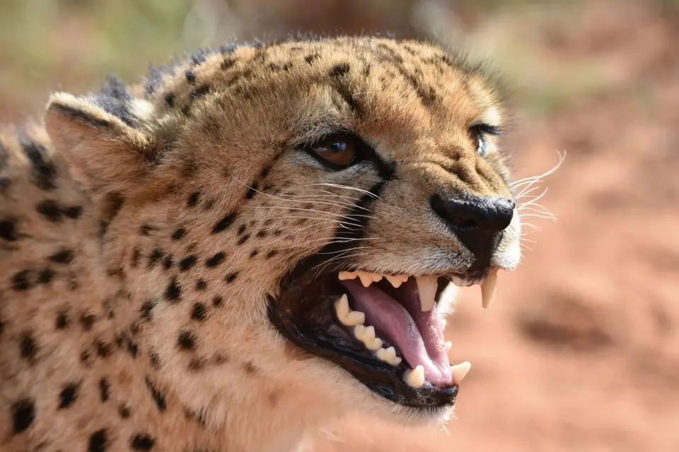 Namibia_2017_00006.jpg