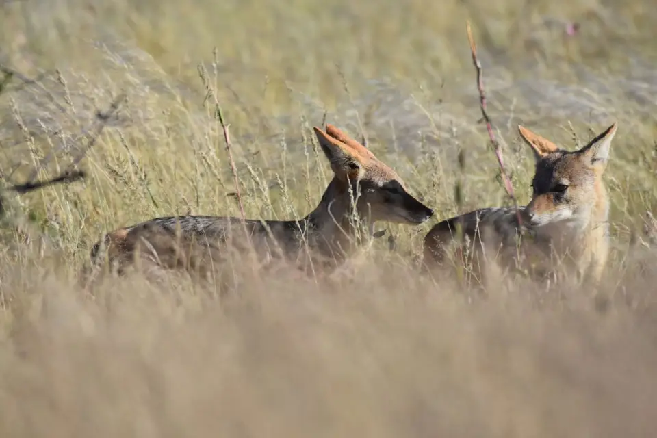 Namibia_2017_00007-2.jpg