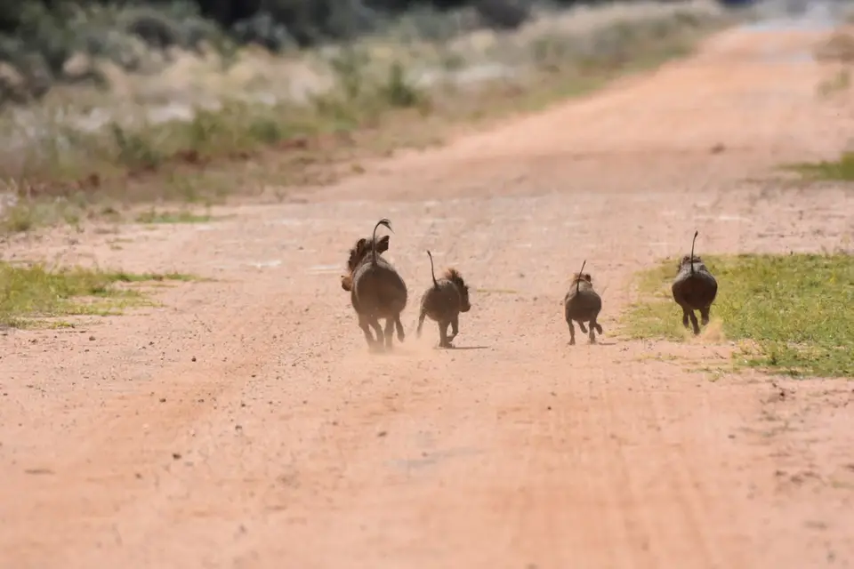 Namibia_2017_00008-2-3-4-5.jpg