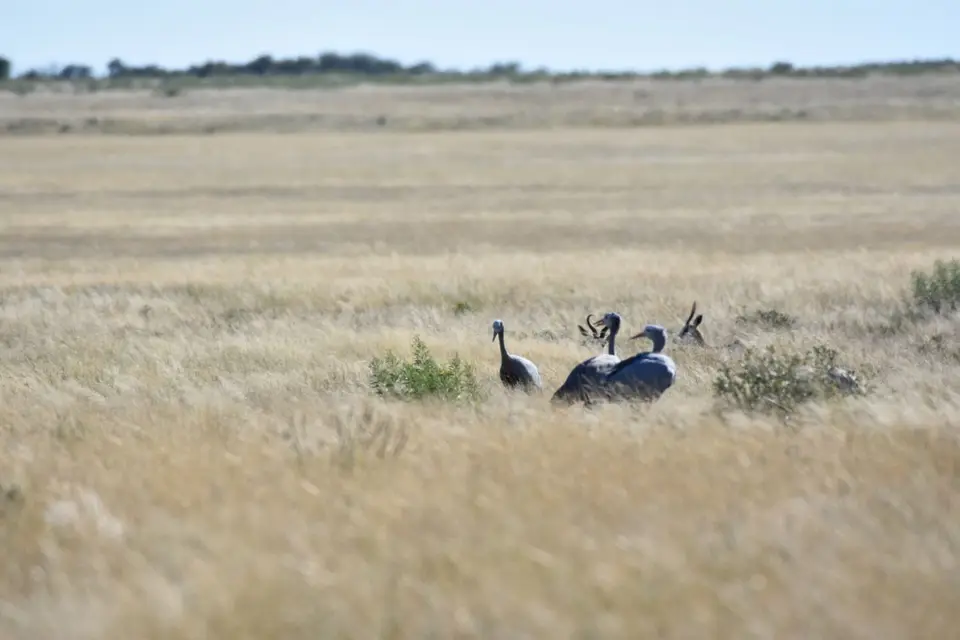 Namibia_2017_00008-2-3-4.jpg