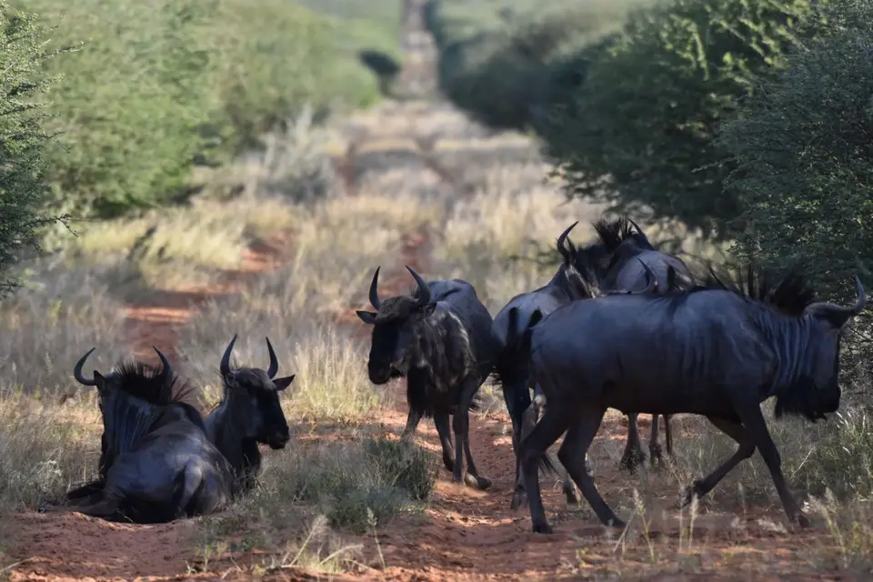 Namibia_2017_00008.jpg