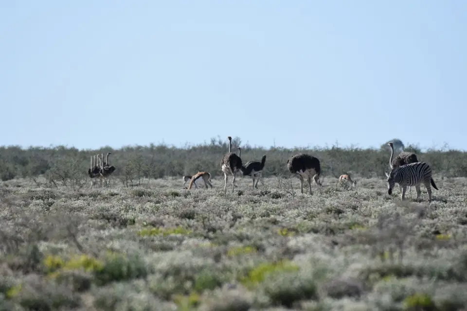 Namibia_2017_00010-2.jpg
