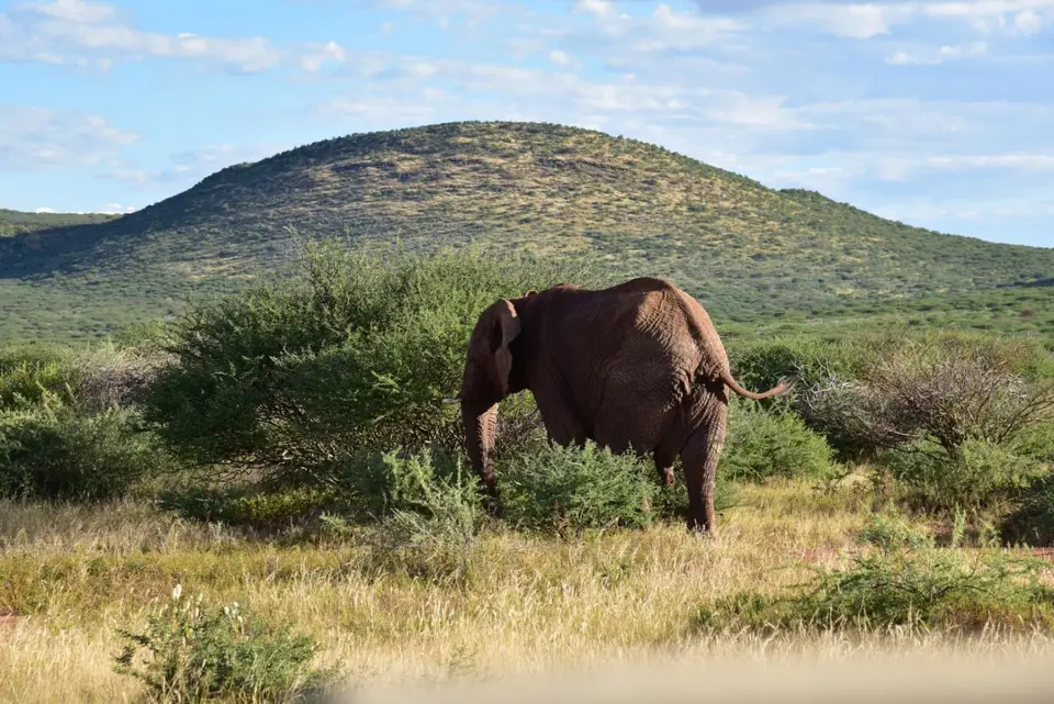 Namibia_2017_00011.jpg