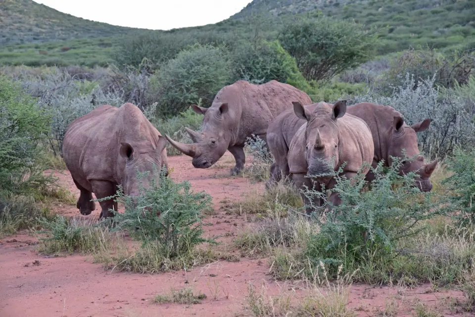Namibia_2017_00012.jpg