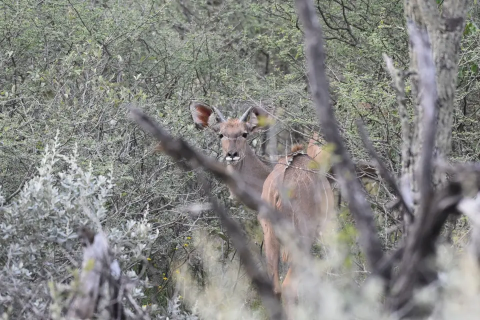 Namibia_2017_00013-2-3-4.jpg