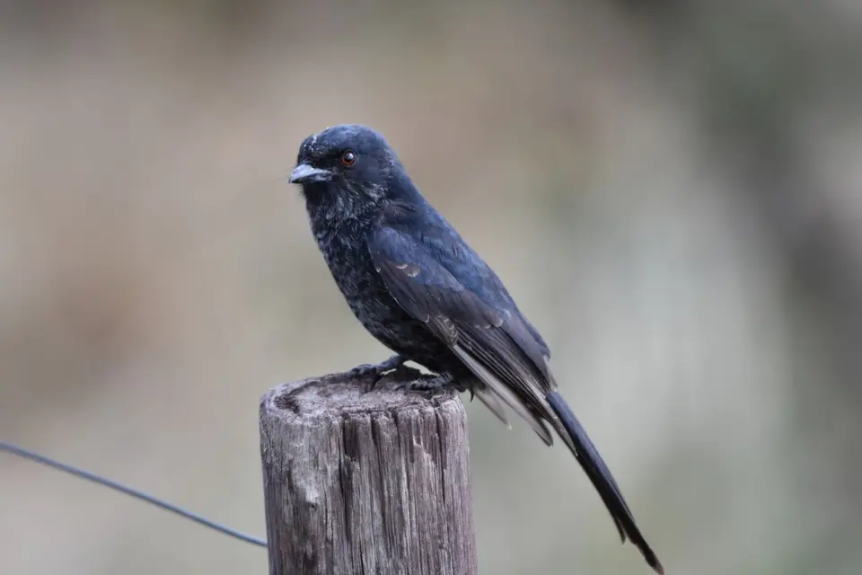 Namibia_2017_00013-2-3.jpg