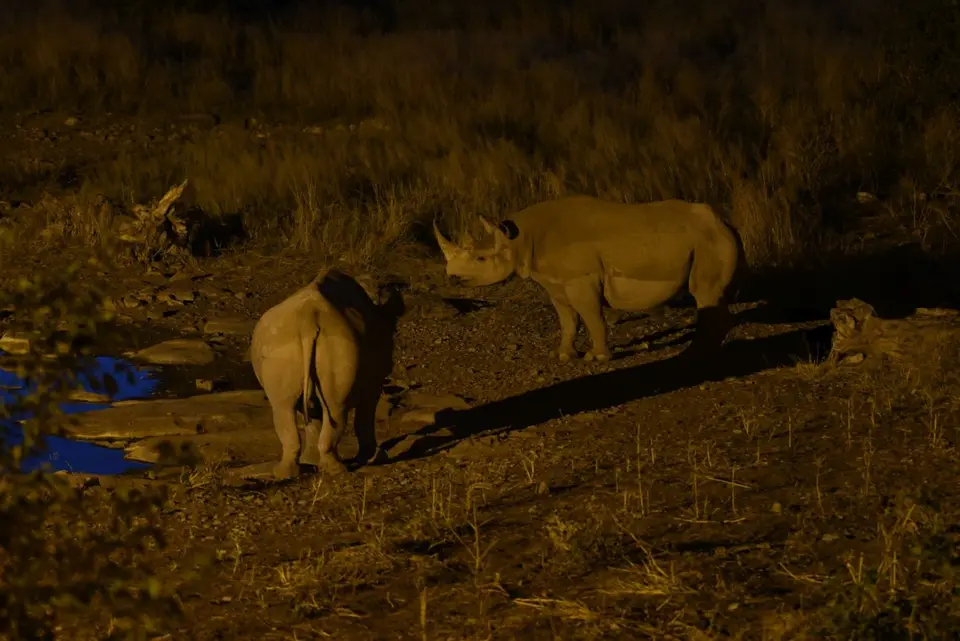Namibia_2017_00016-2-3.jpg