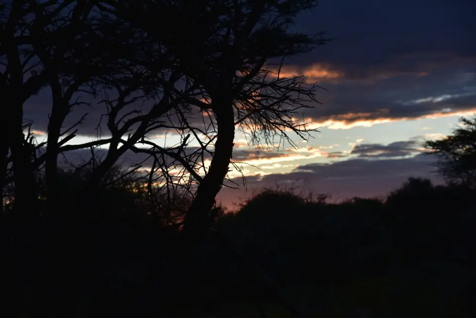 Namibia_2017_00017-2-3-4.jpg