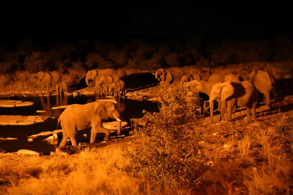 Namibia_2017_00017-2-3.jpg