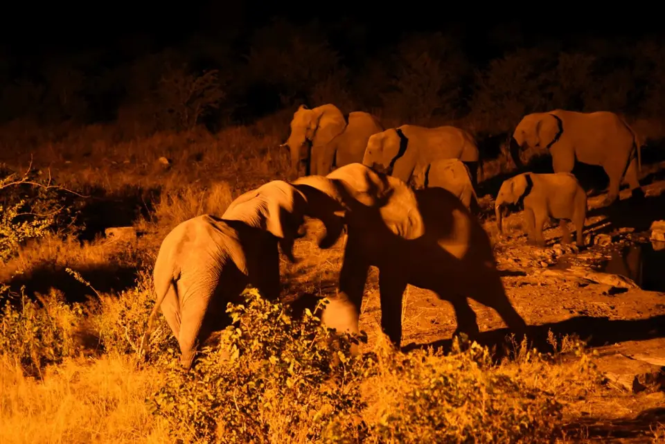 Namibia_2017_00018-2.jpg