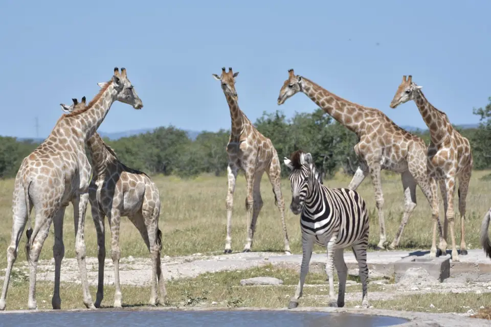 Namibia_2017_00018.jpg