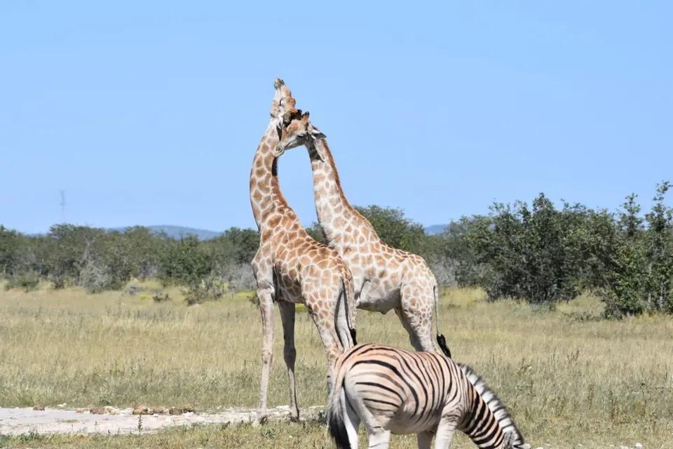 Namibia_2017_00019.jpg