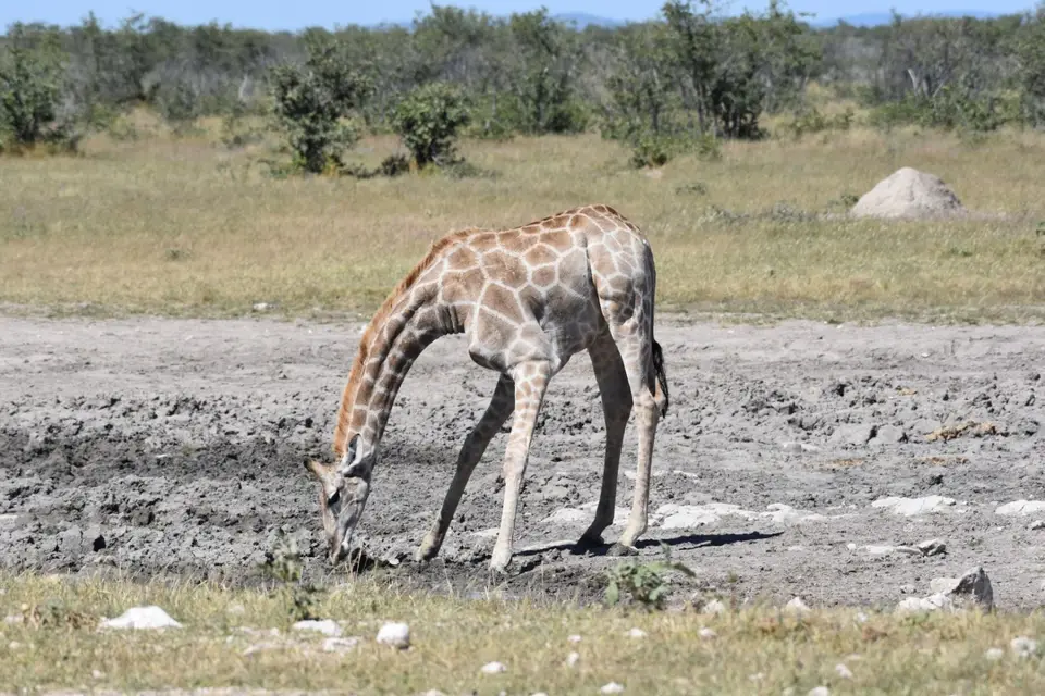 Namibia_2017_00021.jpg