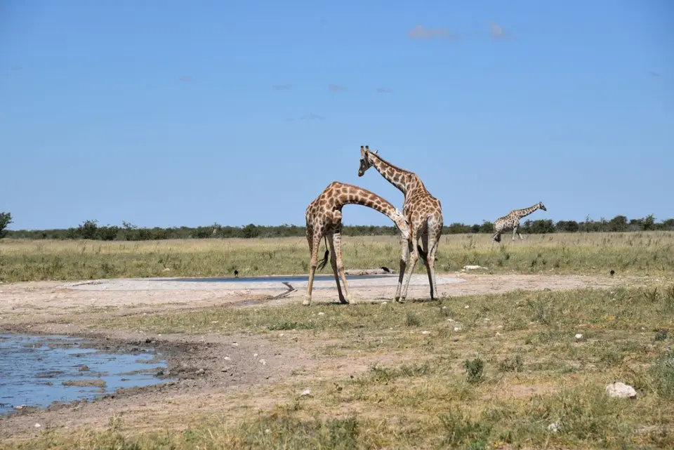 Namibia_2017_00024.jpg