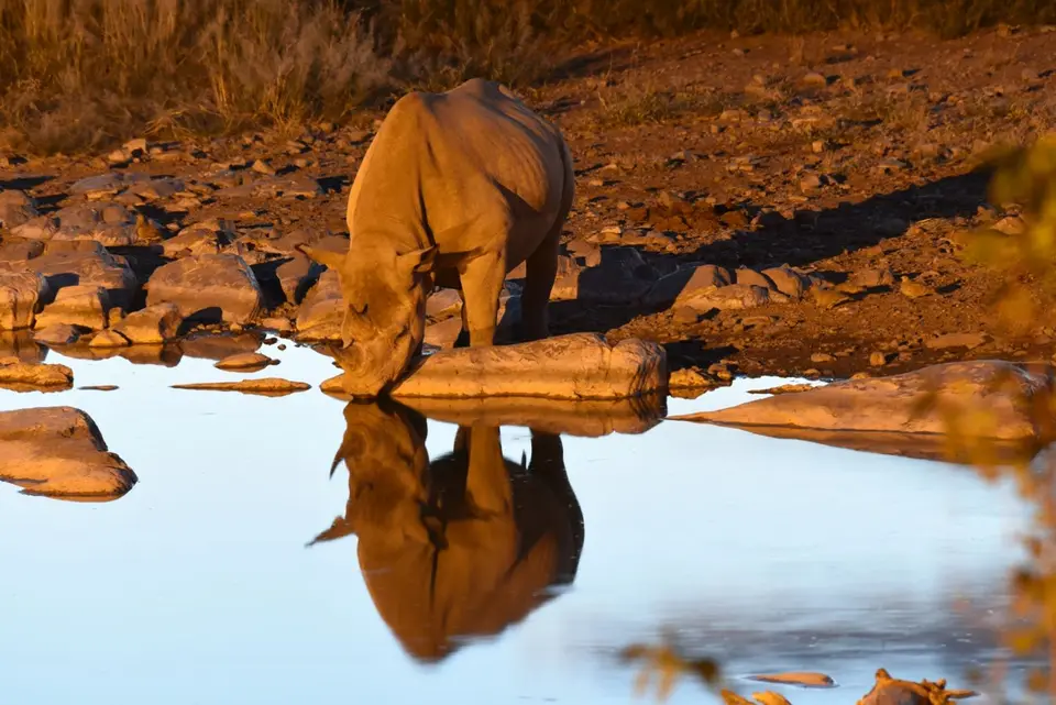 Namibia_2017_04037.JPG