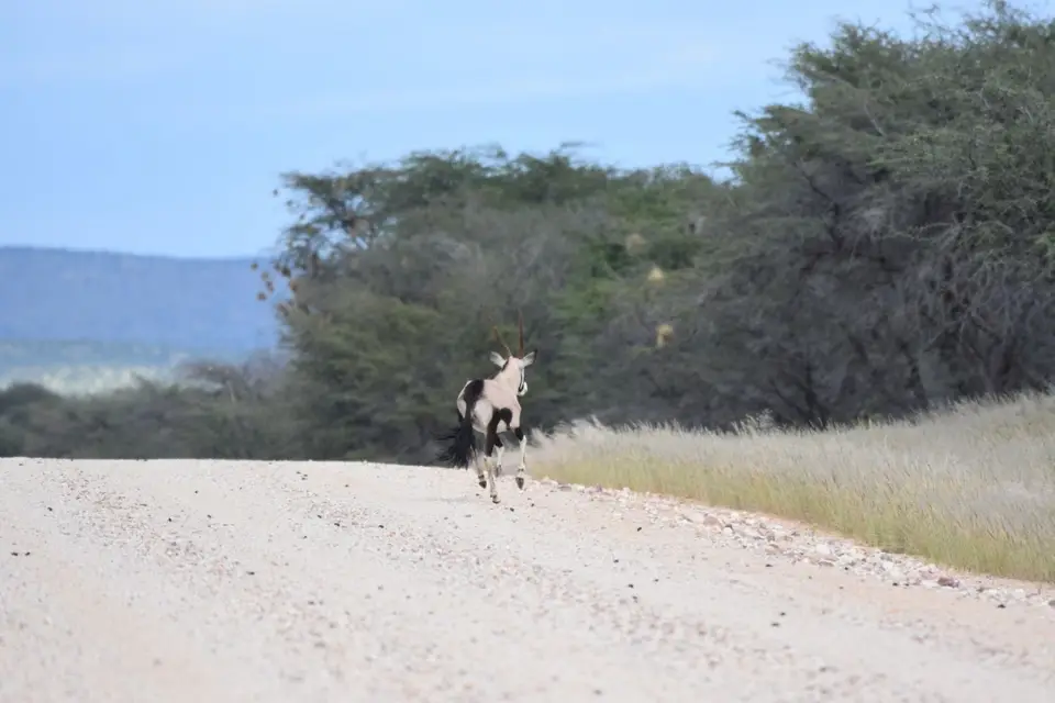 Namibia_2017_20001.jpg