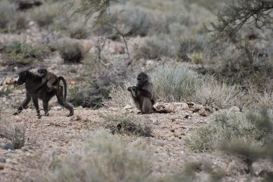 Namibia_2017_20002.jpg