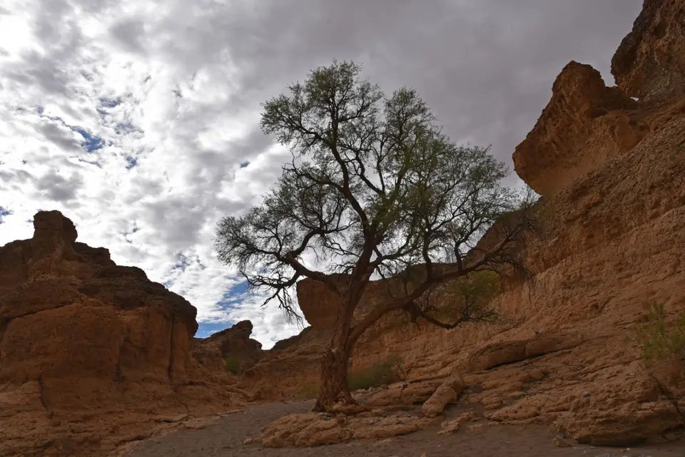 Namibia_2017_30009.jpg