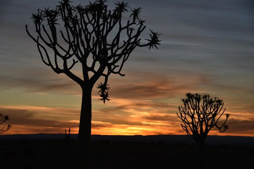 Namibia_2018_Teil_2_00007.jpg