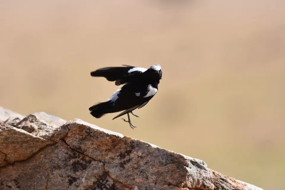 Namibia_2018_Teil_4_00002.jpg