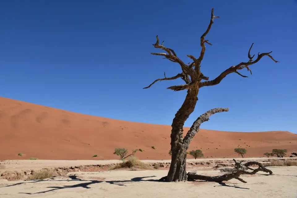 Namibia_2018_Teil_5_00006.jpg