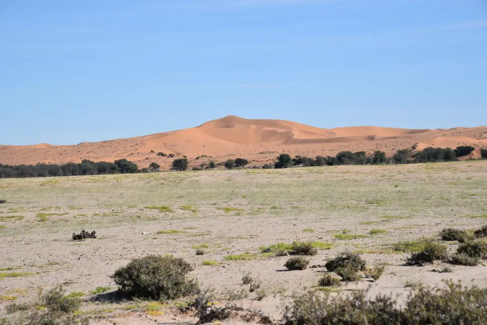 Namibia_2018_Teil_6_00005.jpg