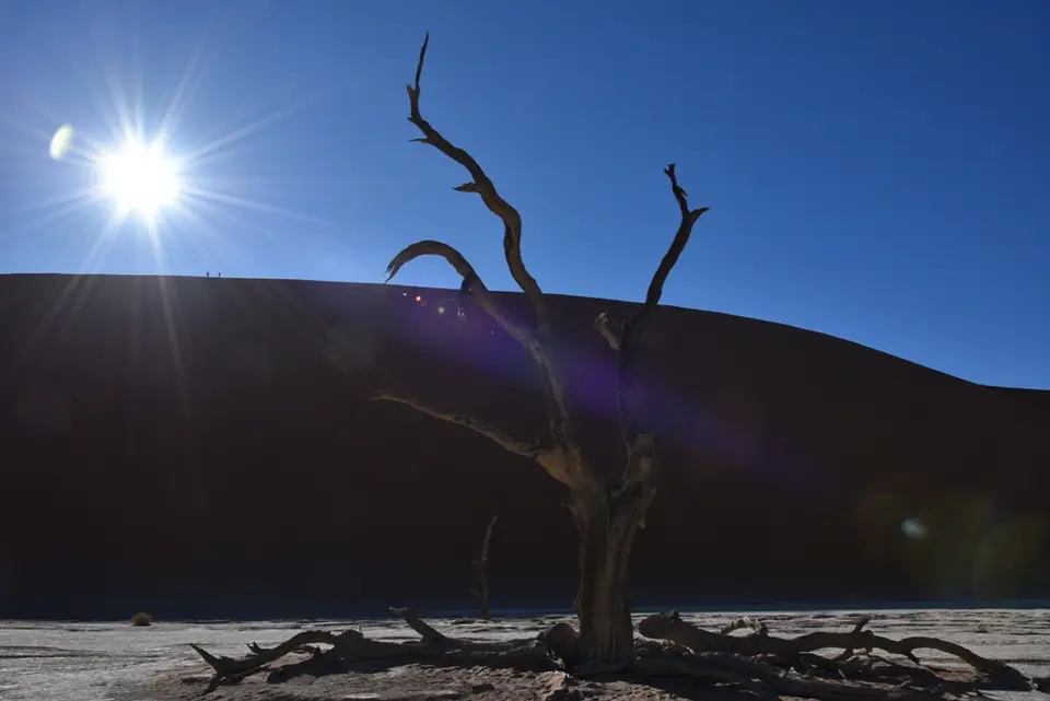 Vlei1.JPG
