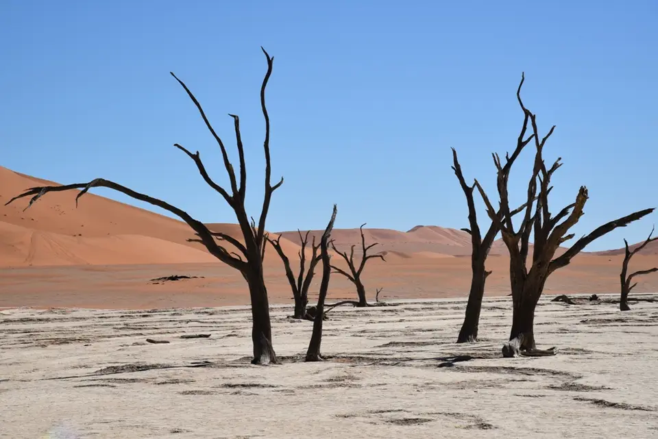 Vlei2.JPG