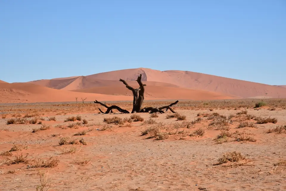 Vlei5.JPG