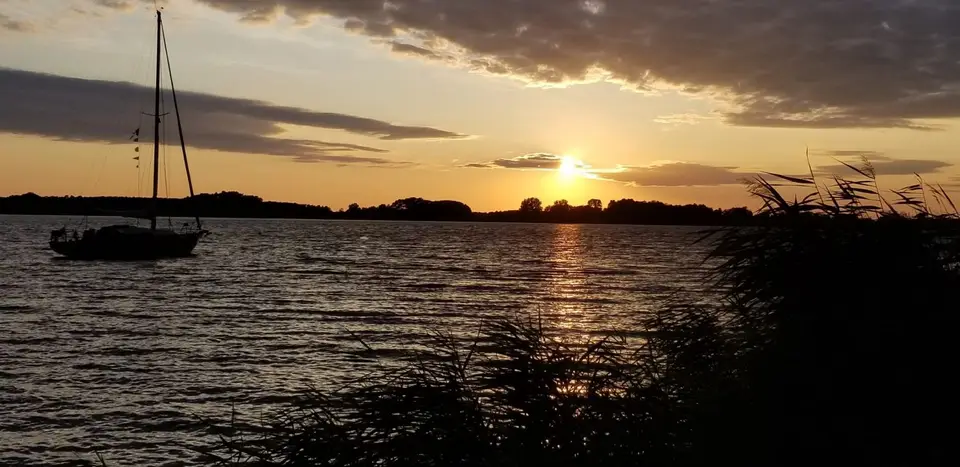 IMG-20210902-WA0000.jpg
