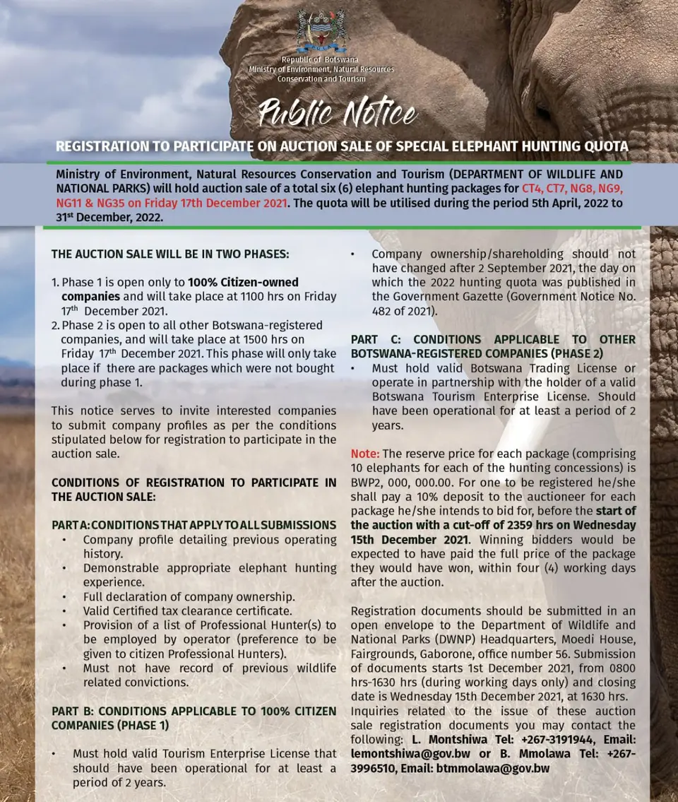 BOTSelephants30112021.jpg