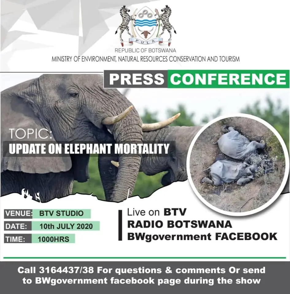 BOTSelephantspc10072020.jpg