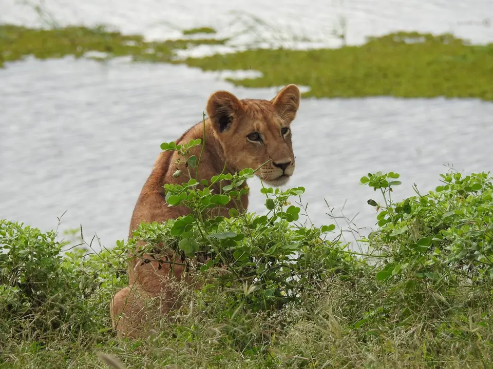 DSCN4970.JPG