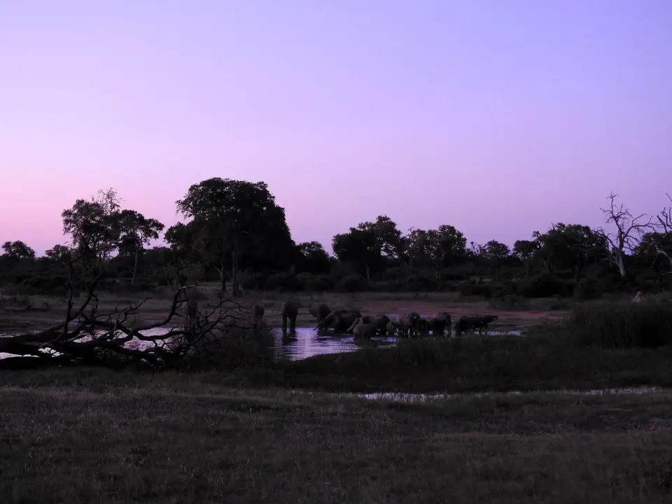 DSCN6429.JPG