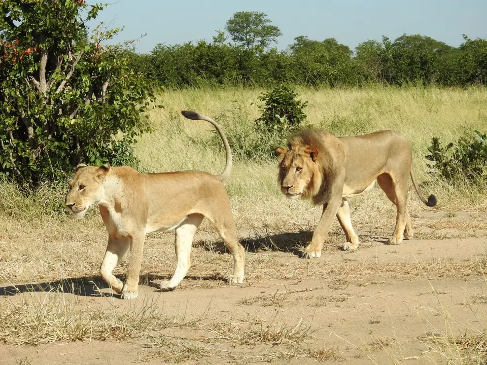 DSCN6555.JPG